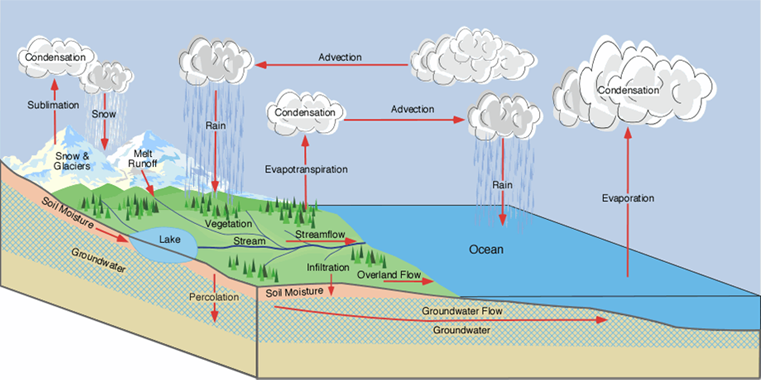 Water Survey